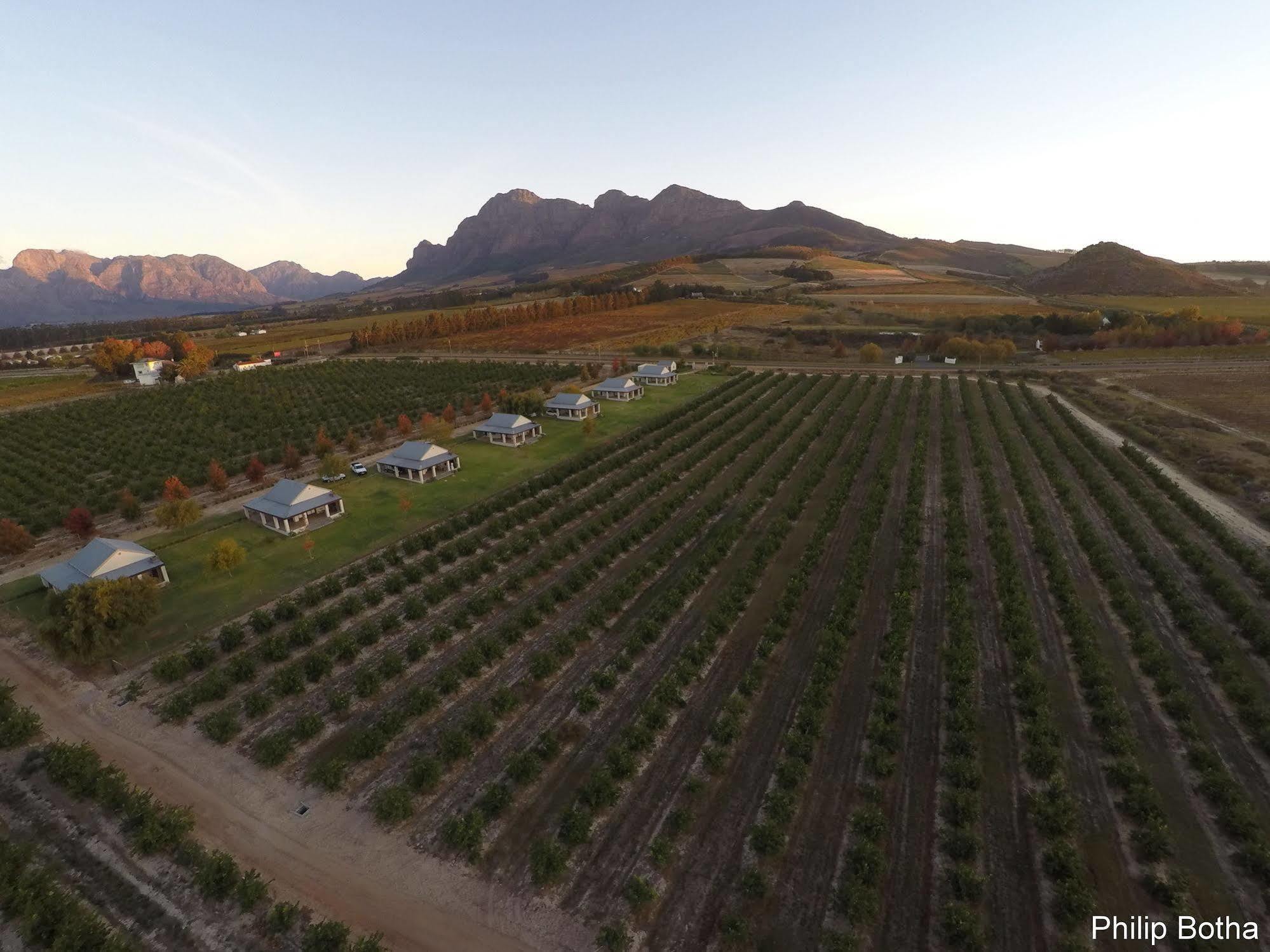 Paddabult Self Catering Cottages Paarl Εξωτερικό φωτογραφία